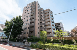 ベリスタ住吉（BELISTA住吉） 建物画像1