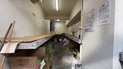 エンゼルハイム門前仲町 建物画像1