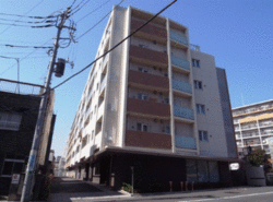 コスモ・ザ・テラス東京EAST 建物画像1