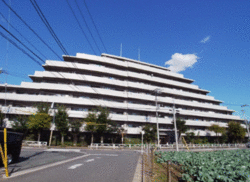 セルテシティオ世田谷烏山 建物画像1