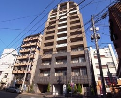 ハイセレサ奥沢シティタワー 建物画像1