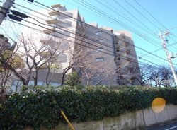 山王ガーデンハイツ おすすめ画像9