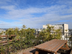 ロイヤルシーズン溝の口CASA 建物画像1