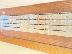 藤和門前仲町コープ 建物画像1