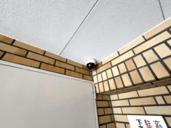 アルカディア東駒形 建物画像1