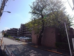 ライオンズマンション十条台 建物画像1
