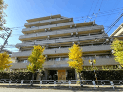 サンティール三鷹 おすすめ画像2