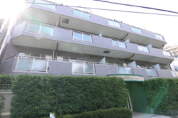 ドメイン東新宿 建物画像1