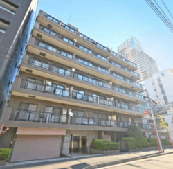 マイキャッスル月島 建物画像1