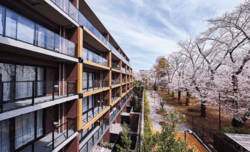 シティハウス吉祥寺北町 おすすめ画像1