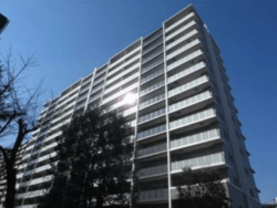 クレヴィア豊洲 おすすめ画像1