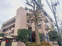 東急ドエルアルス等々力 おすすめ画像9