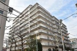 エムエフ両国 おすすめ画像3