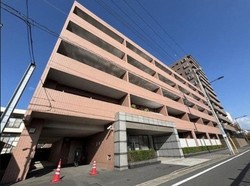 コスモ西大島ロイヤルフォルム 建物画像1