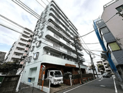 東糀谷ダイヤモンドマンション 建物画像1