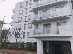 メイゾン仲池上 建物画像1