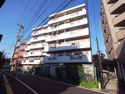 ダイアパレス上池台 建物画像1
