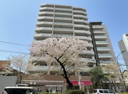 クリオ中村橋壱番館 おすすめ画像2