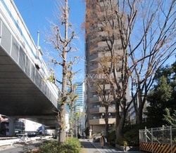 グランド・ガーラ渋谷 建物画像1