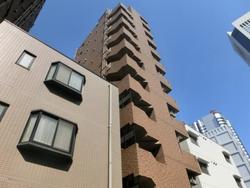 パークウェルツインズ西新宿サウスピア 建物画像1