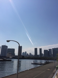コスモ東京ベイタワー 建物画像1