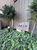 DOM都立大学 外観 物件画像6
