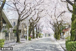 世田谷区用賀１丁目　中古一戸建て　39,800万円 建物画像1