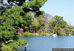 大田区東雪谷４丁目　土地　20,860万円　 建物画像1