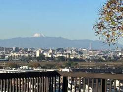 大田区田園調布４丁目　土地　29,000 万円 建物画像1