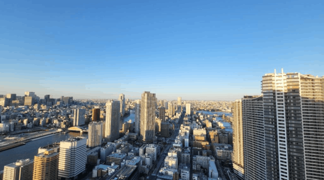 ザ・東京タワーズ ミッドタワー 