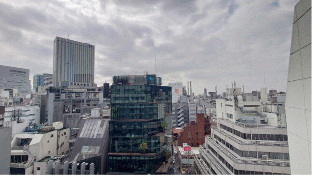 ニュー渋谷コーポラス 室内写真 物件画像2