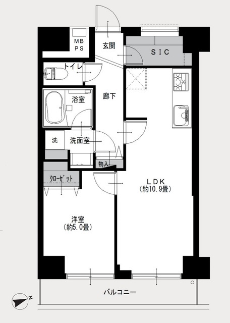 パシフィック早稲田 2階 間取り図