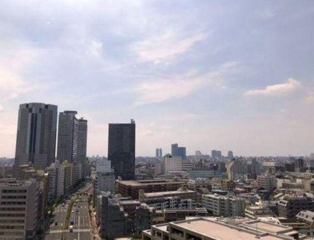 ザ・パークハウス新宿タワー 