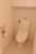 ラ・コスタ新宿余丁町 室内写真 物件画像8